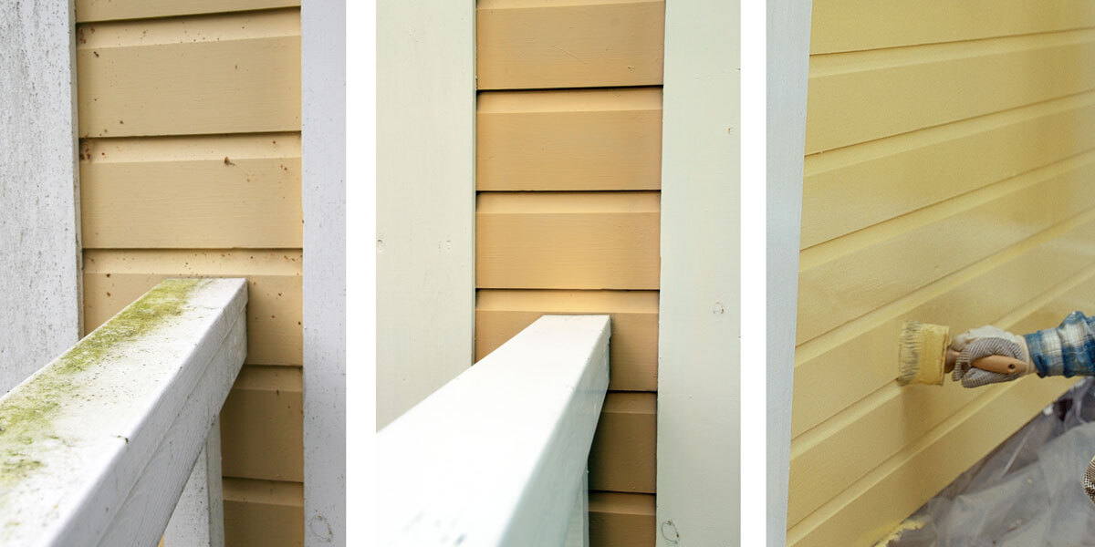 Mold removal