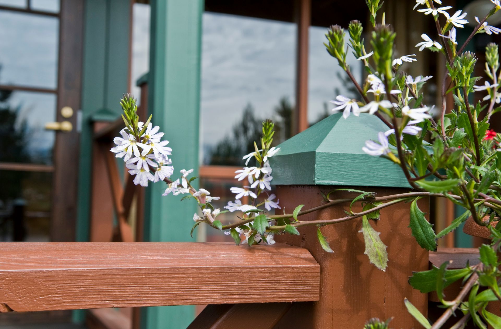 Valtti plus complete