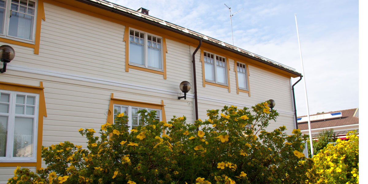 vinha service paint