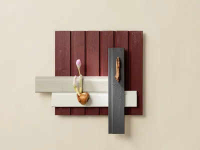 wooden house colour
