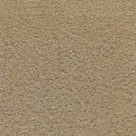 Septaria